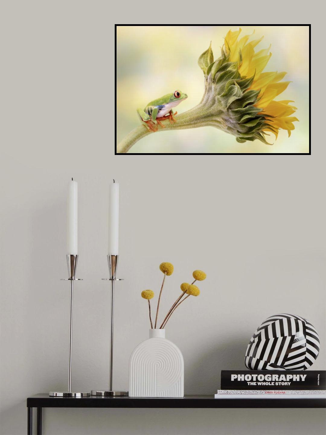 Red Eyed Tree Frog on a Sunflower Poster och Canvastavla