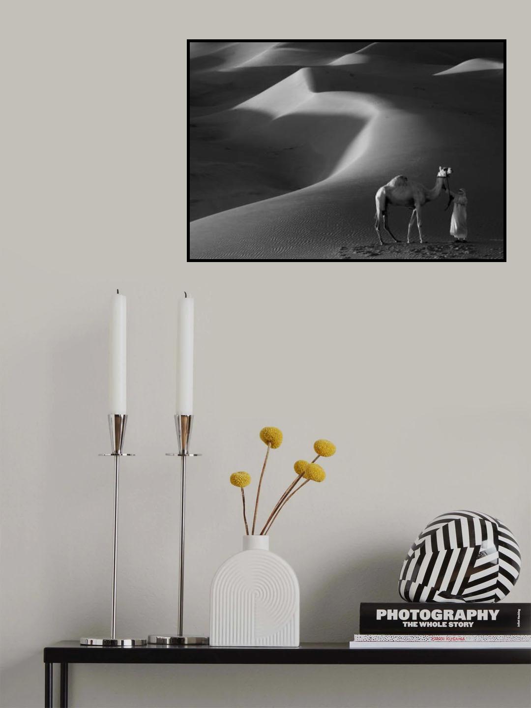 Shadows lines Poster och Canvastavla