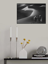 Shadows lines Poster och Canvastavla