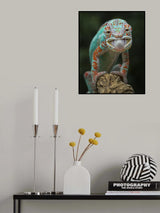 Hungry Face Poster och Canvastavla