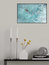 Dew Catcher Poster och Canvastavla
