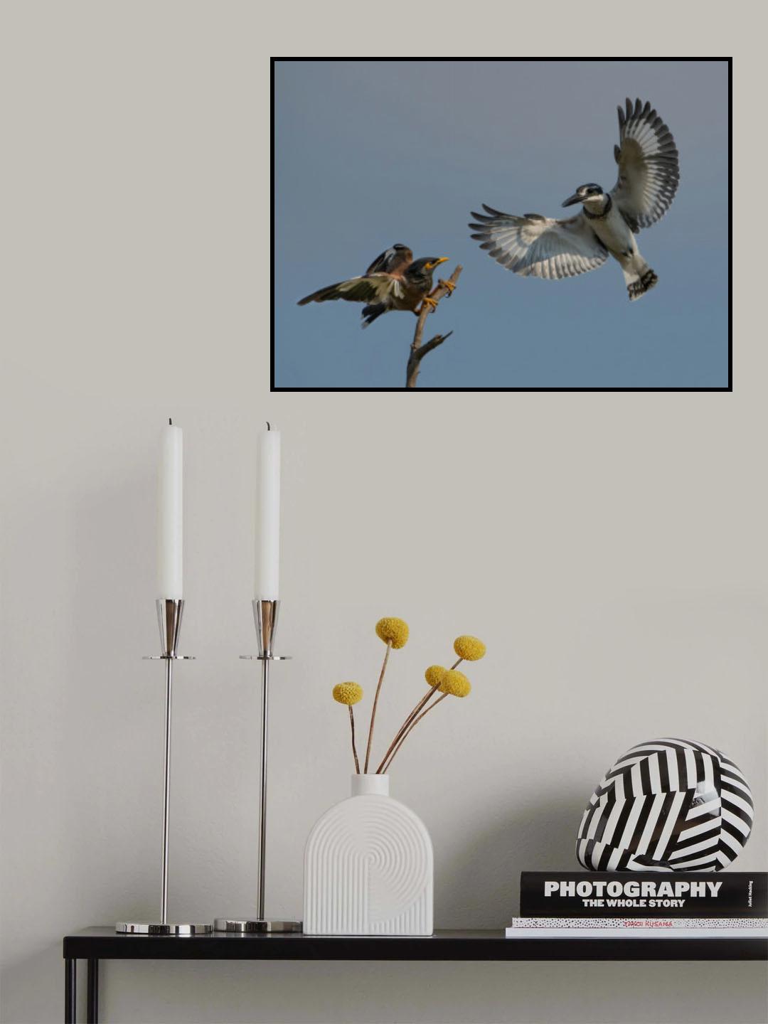 Encounter Poster och Canvastavla