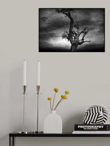 Surma Composition Poster och Canvastavla