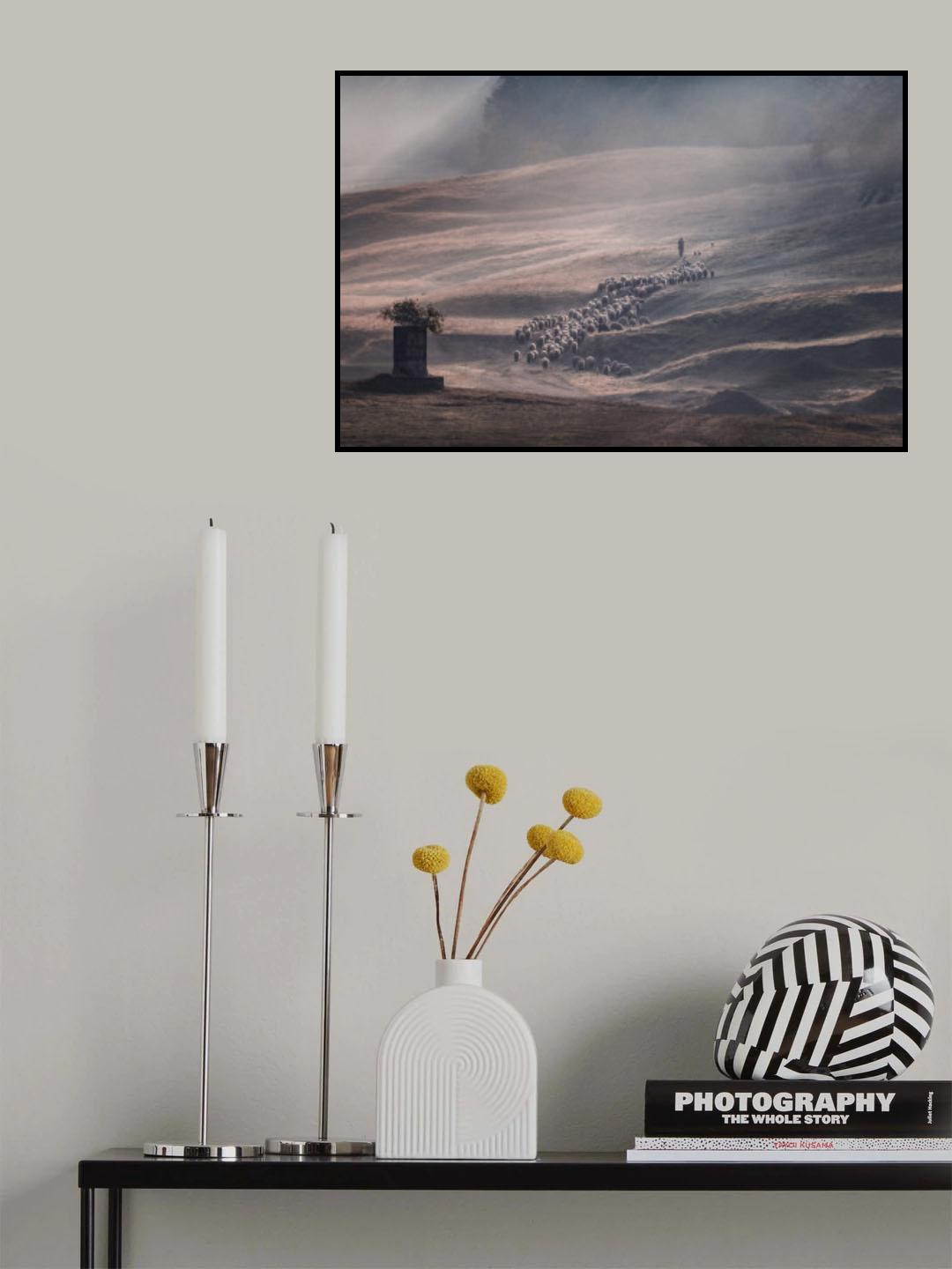 Palillula Poster och Canvastavla