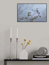 Great grey shrike Poster och Canvastavla