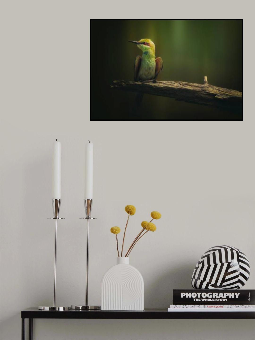 Little Bee-eater Poster och Canvastavla