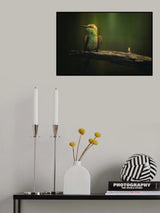 Little Bee-eater Poster och Canvastavla