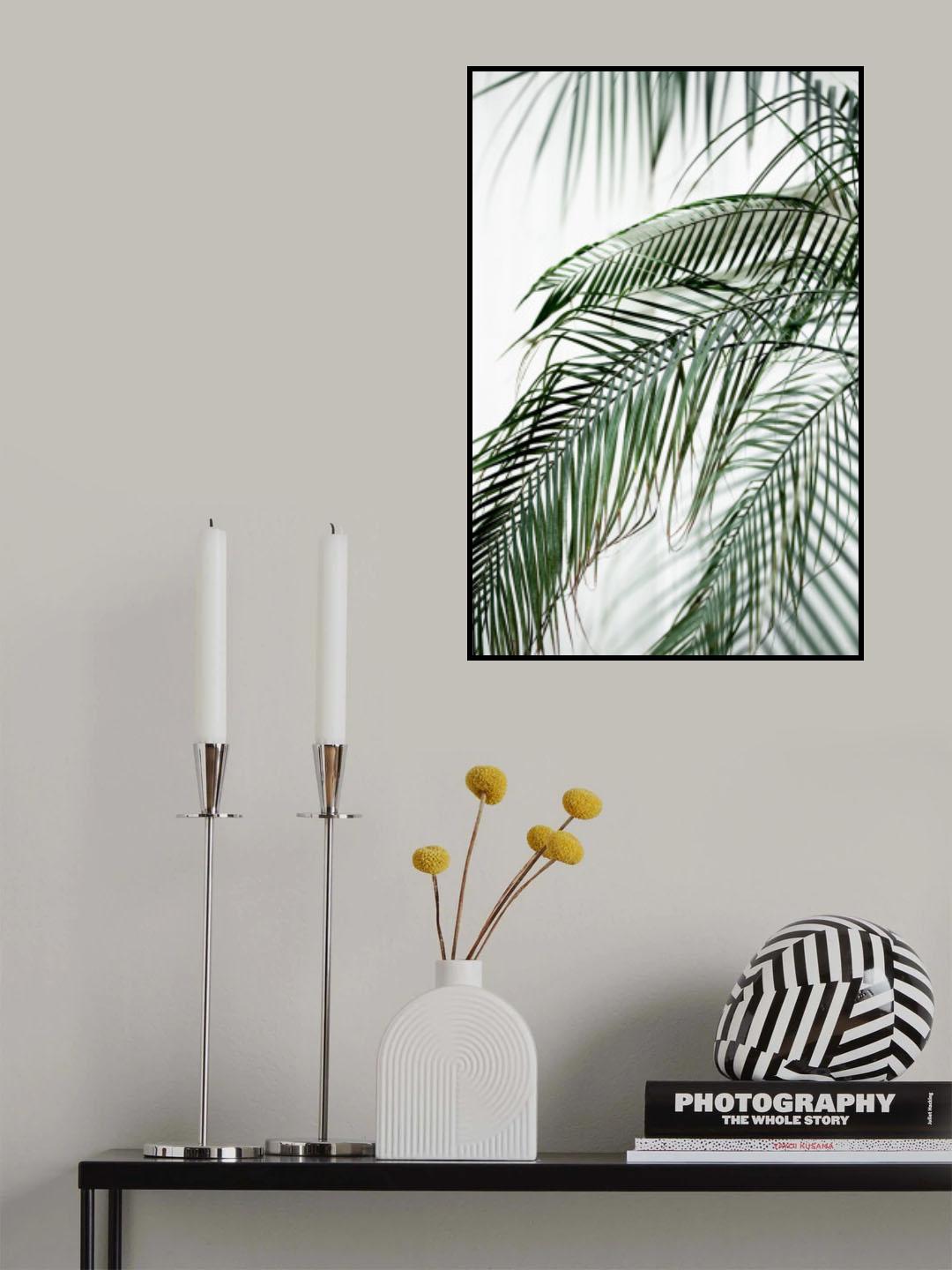 Palm Leaves 21 Poster och Canvastavla