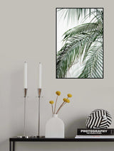 Palm Leaves 21 Poster och Canvastavla