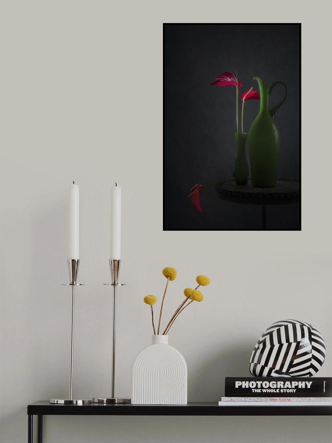 Red Anthurium Poster och Canvastavla
