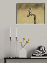 Poster och Canvastavla