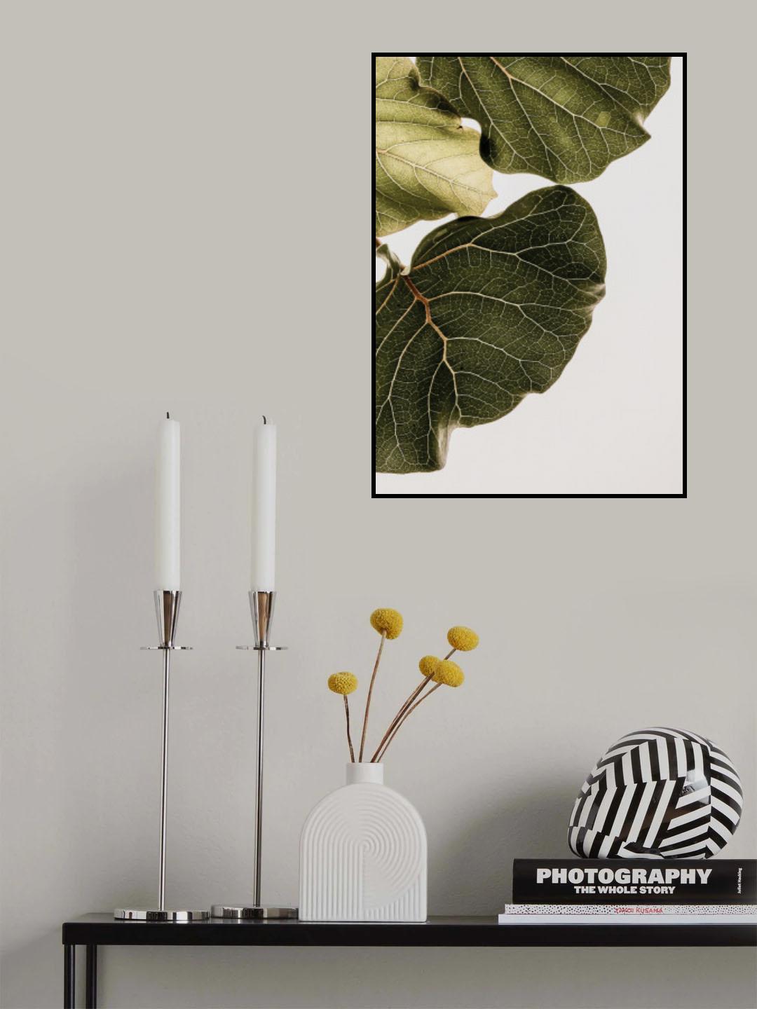 Abutifolia No1 Poster och Canvastavla