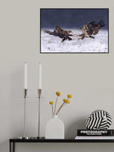 Duel Poster och Canvastavla