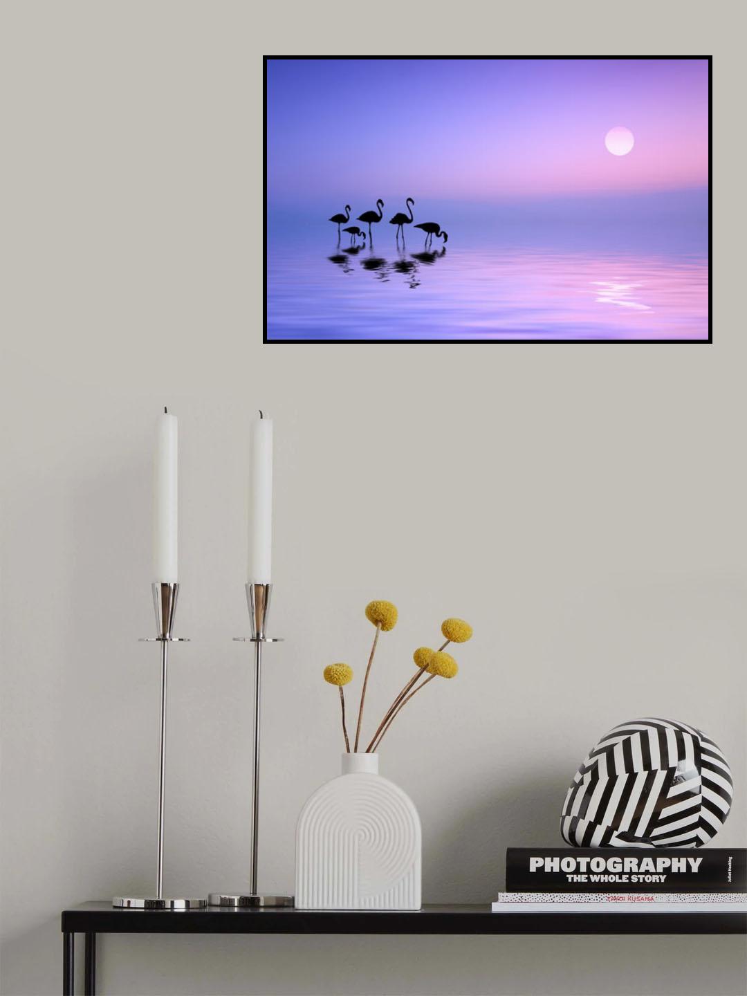 Morning Flamingo Poster och Canvastavla