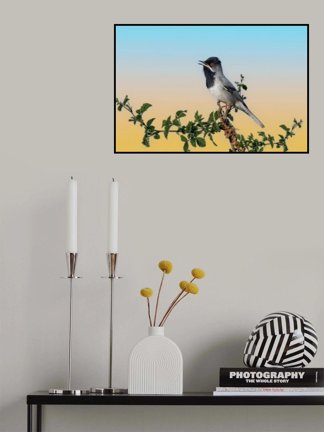 Singing and singing on a raspberry bush Poster och Canvastavla