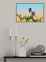Singing and singing on a raspberry bush Poster och Canvastavla