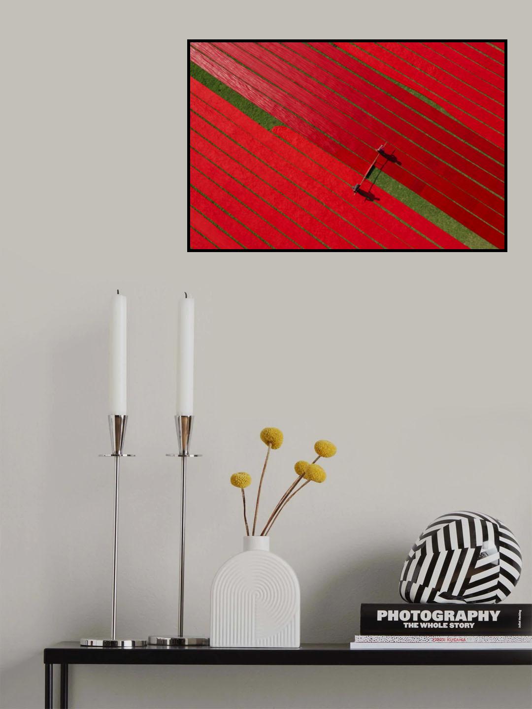 Drying fabrics Poster och Canvastavla