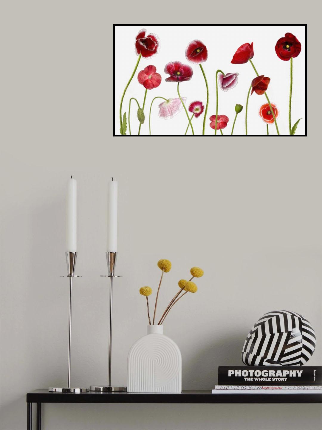 Poppy Family Poster och Canvastavla