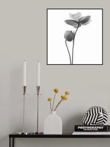 A little touch - monochrome Poster och Canvastavla