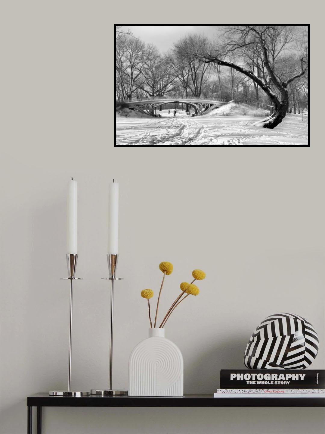 Symbiosis Poster och Canvastavla