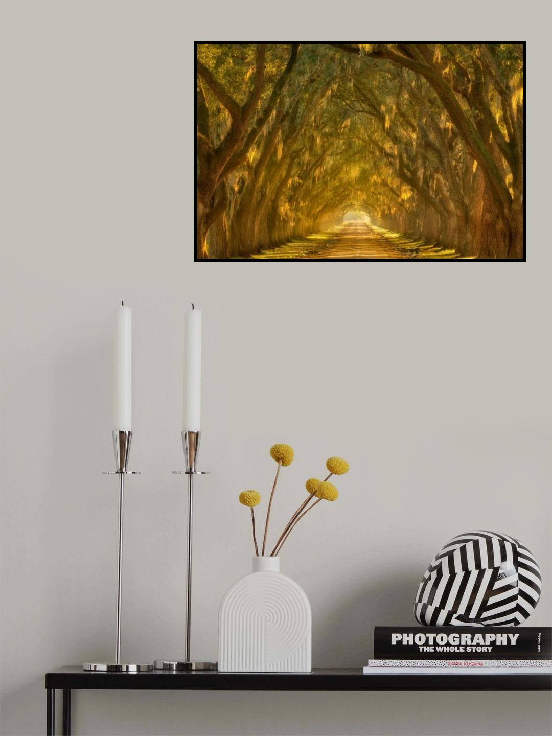 Illumination Alley Poster och Canvastavla