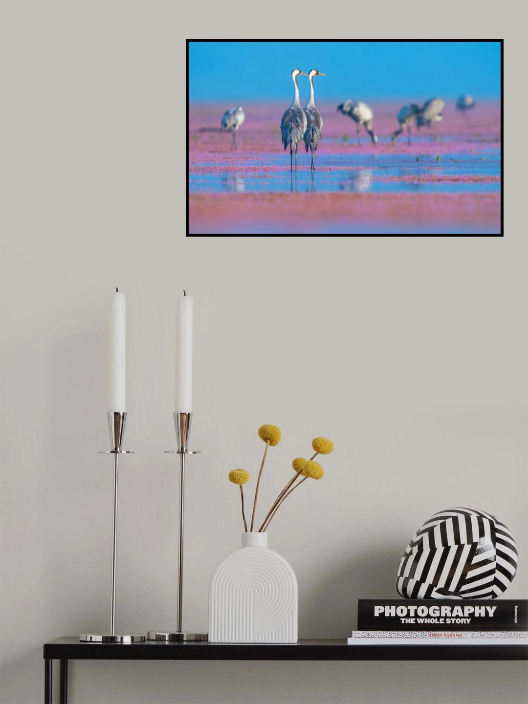 Grus grus Poster och Canvastavla