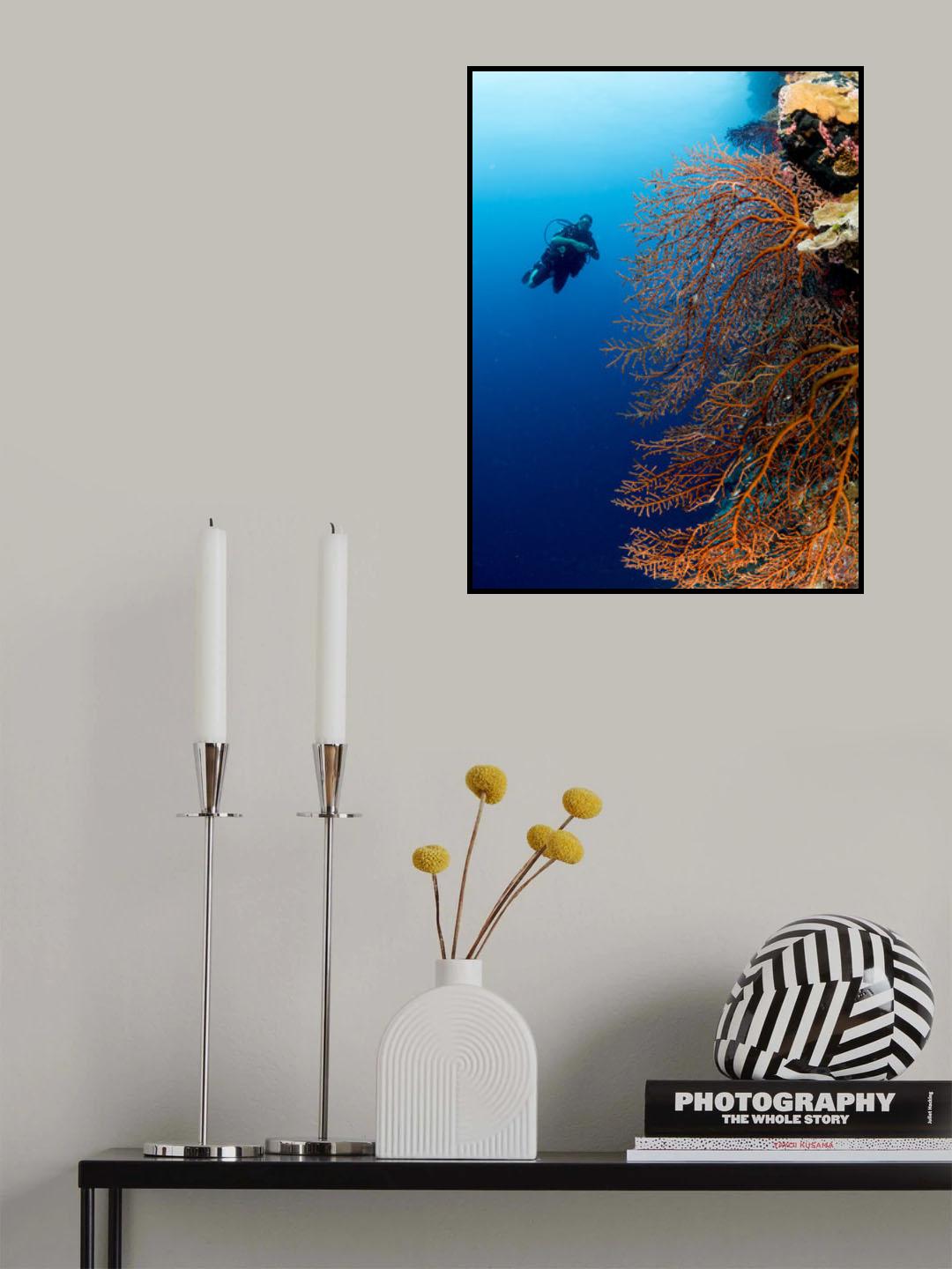 Gorgonia and a diver Poster och Canvastavla