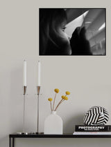 Searching for something Poster och Canvastavla