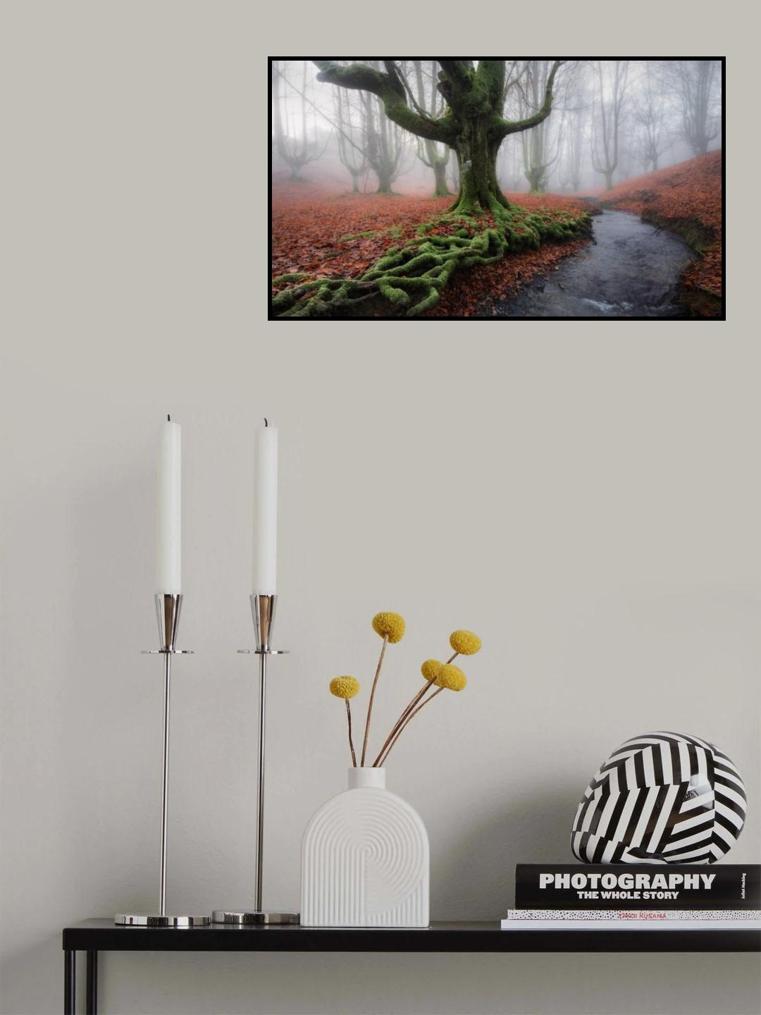 Misty Morning Poster och Canvastavla