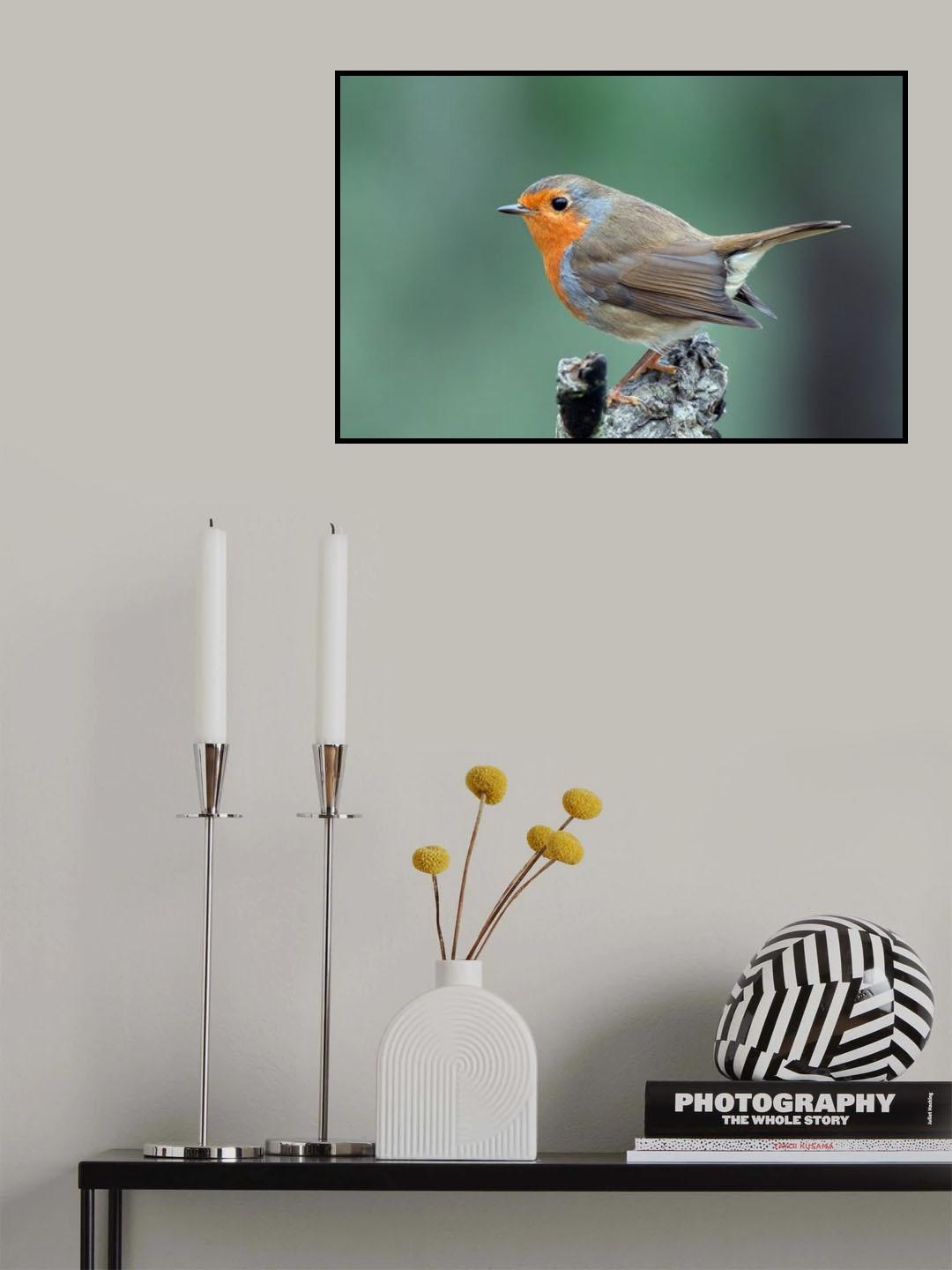 Poster och Canvastavla