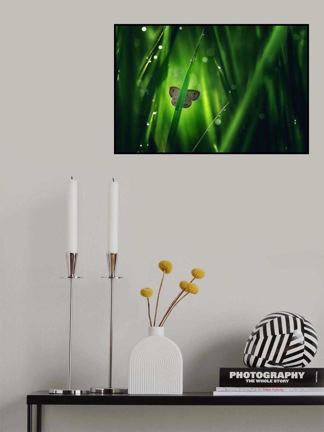 Dilalang sahalai Poster och Canvastavla