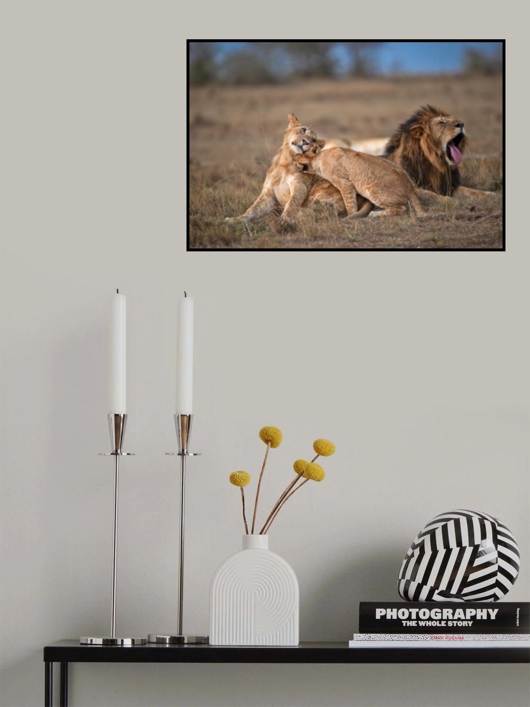 Seista Poster och Canvastavla
