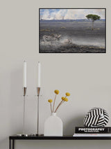 Savannah Burning Poster och Canvastavla