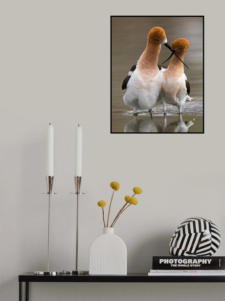 Love crossing Poster och Canvastavla