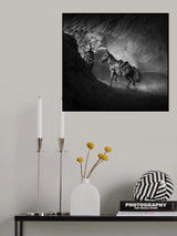 Horse bit angry Poster och Canvastavla