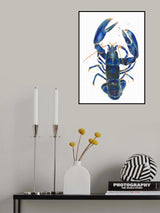 A Blue Lobster Poster och Canvastavla