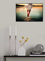 Last Jump of the Season Poster och Canvastavla