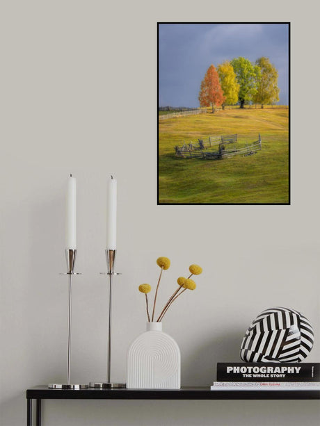 Shades of autumn Poster och Canvastavla