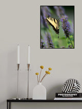 A Passion for Purple Poster och Canvastavla