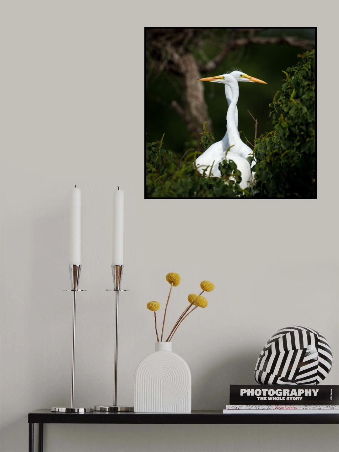 Poster och Canvastavla