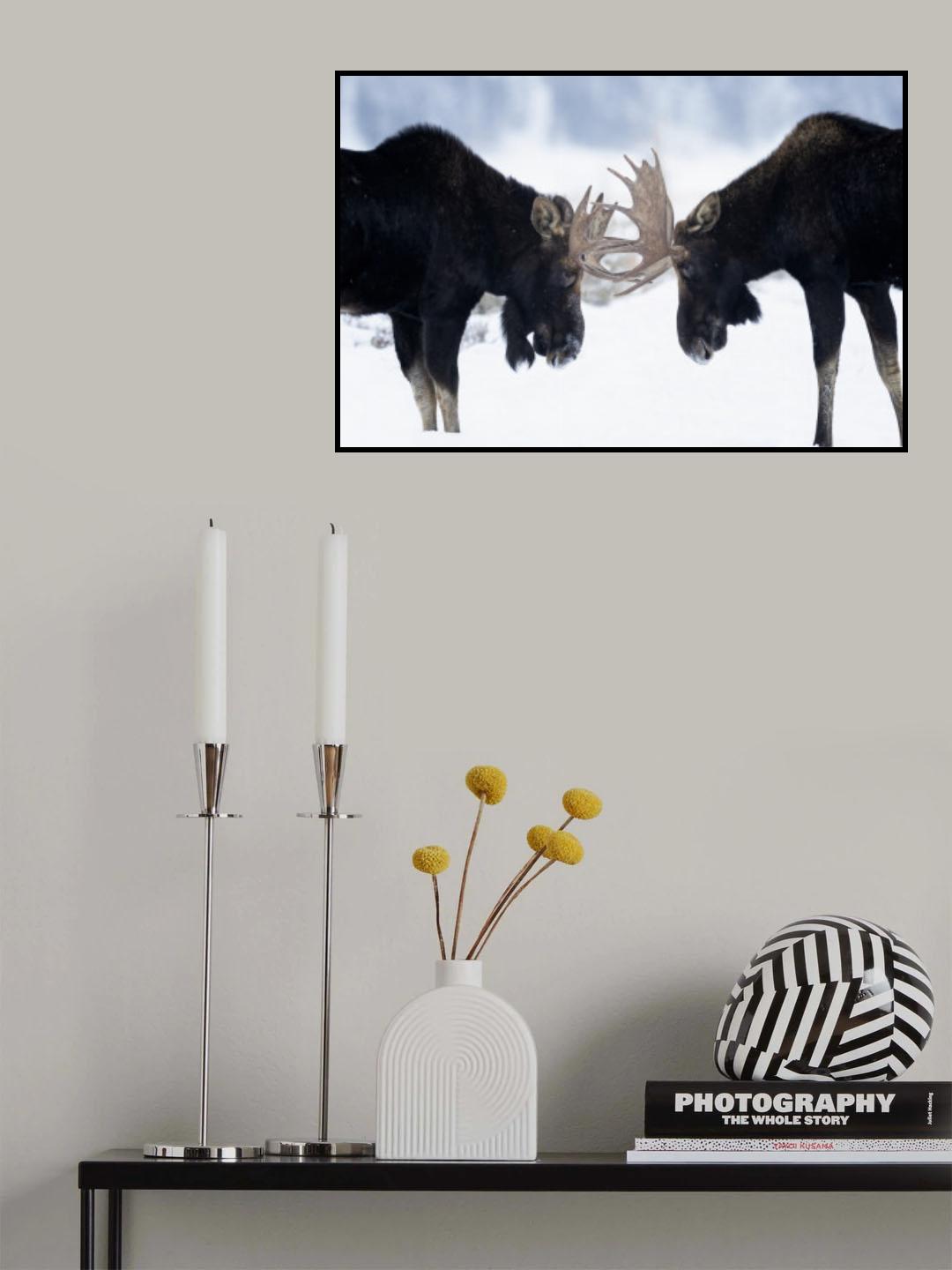 Fighting... Poster och Canvastavla
