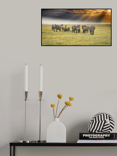 For the love of elephants Poster och Canvastavla