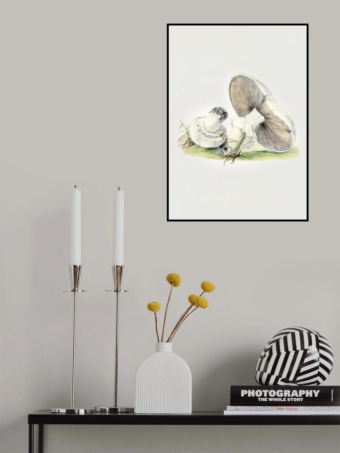 Hand Drawn Horse Mushroom Standing Poster och Canvastavla