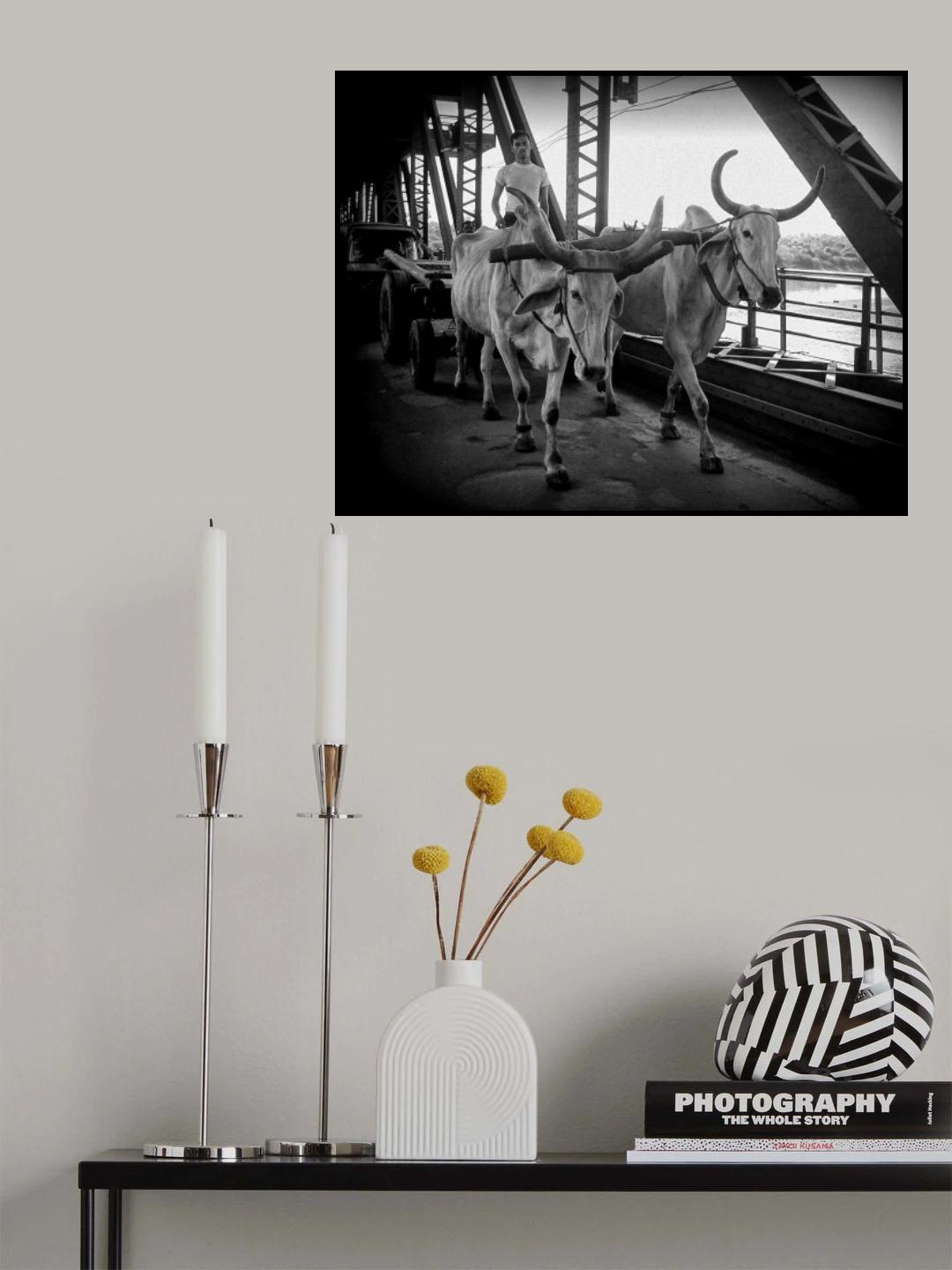Down to the market. Poster och Canvastavla