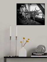 Down to the market. Poster och Canvastavla