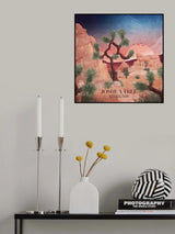 Joshua Tree Poster och Canvastavla