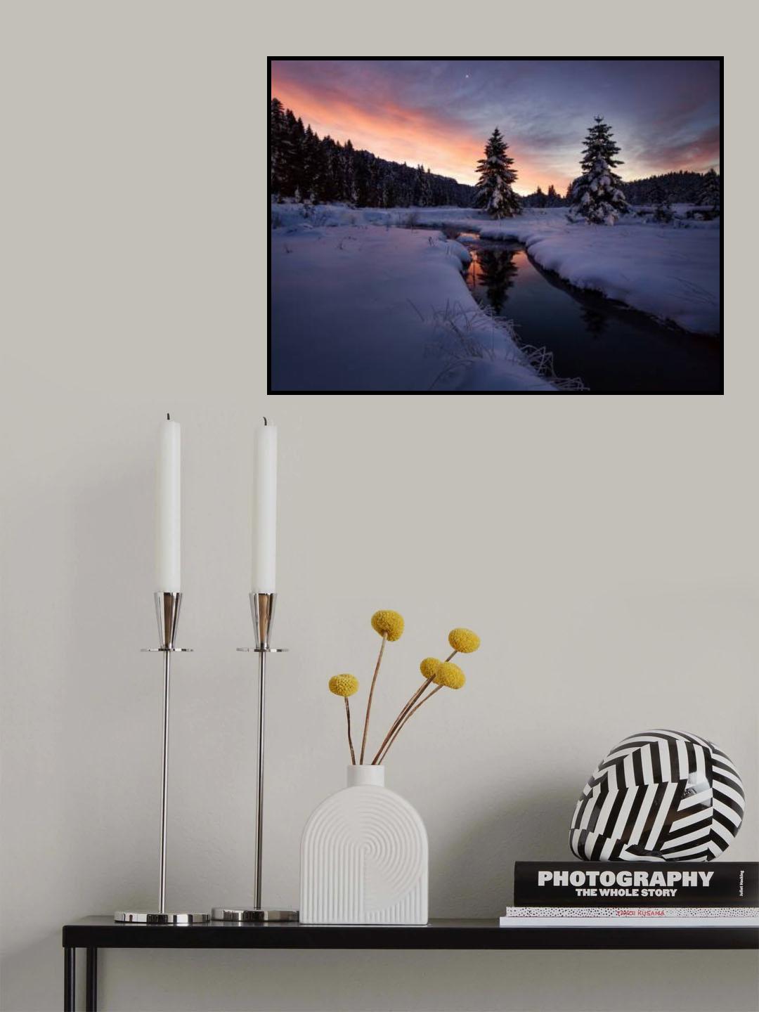 The breath of winter Poster och Canvastavla