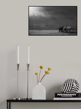 Early grazing Poster och Canvastavla