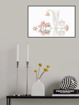 Pink Peruvian-lily Poster och Canvastavla