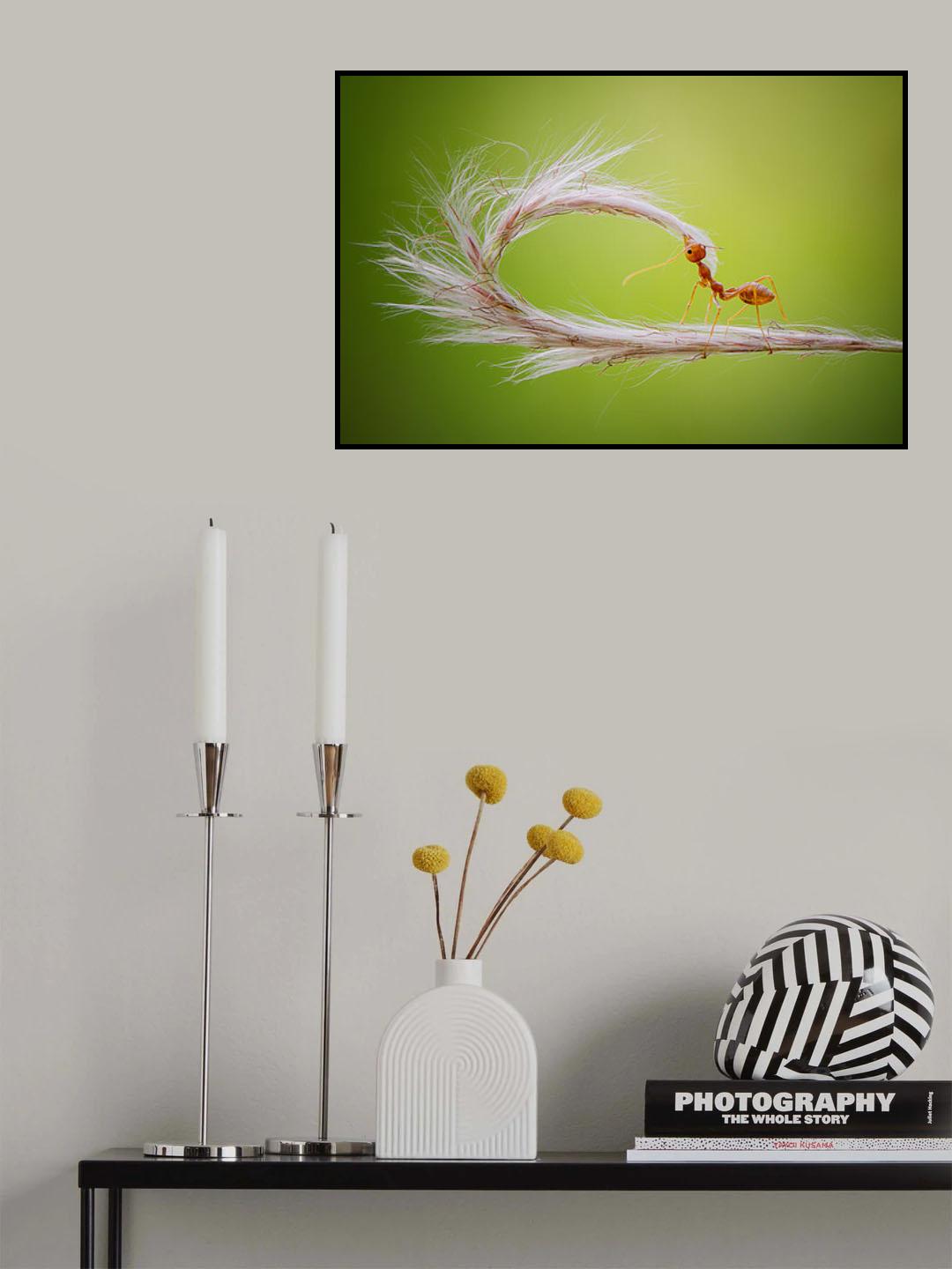 --- Poster och Canvastavla